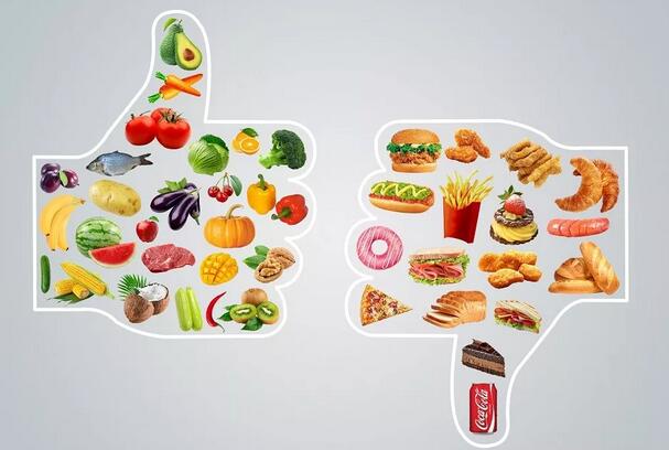 ��ͯ��ʳ���飬������������������� 