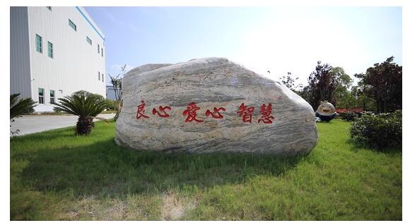 安琪纽特:回首固本业 兼济达天下