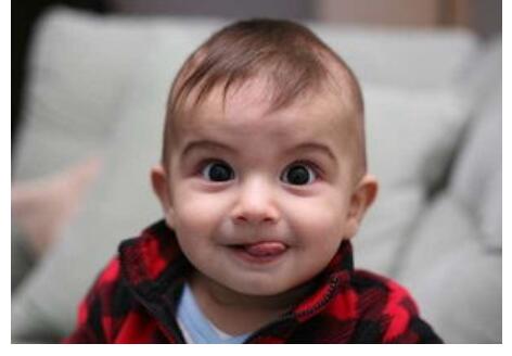 ������������ı���������