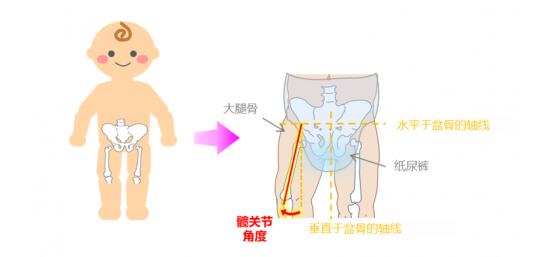 ����ֽ�����׶�����Ӱ������ؽ���