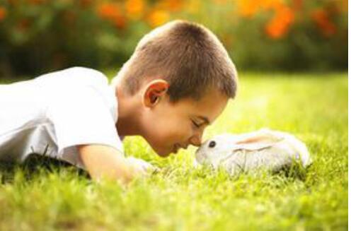 培养优秀男孩的四个妙招