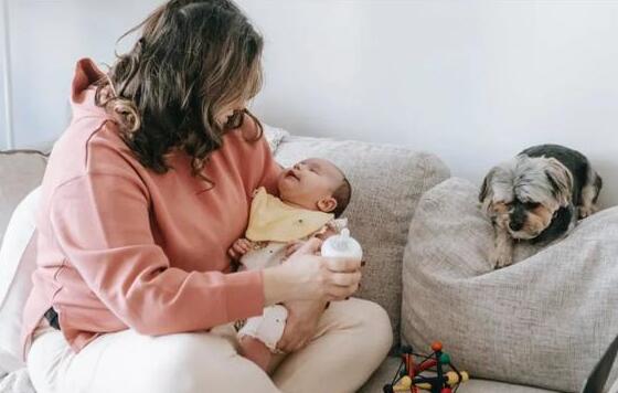 �����������ȷĸ��ι����