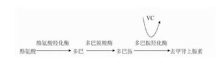 产后情绪波动的原因有哪些?