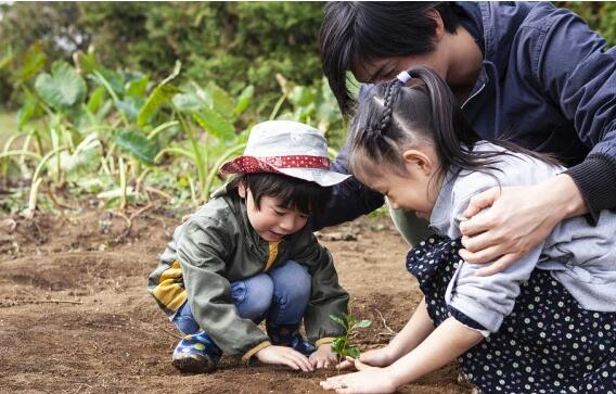 感统失调引发学习困难