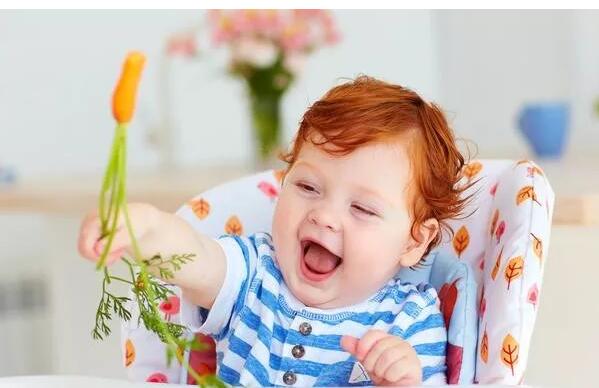 ��ʳӪ���ر��ע�ĵ㣬�ñ���������