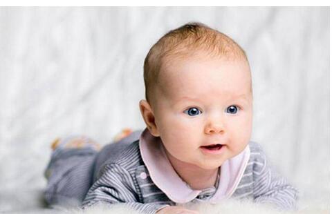 �����������������������ط�Ҫ������