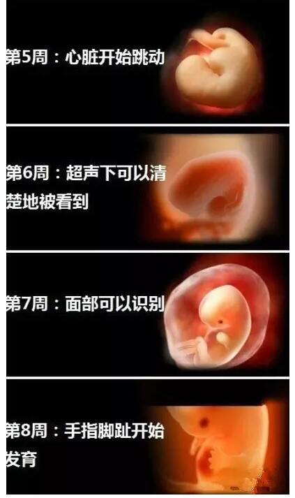 准妈妈怀孕期间,宝宝最怕的东西一定要知道!