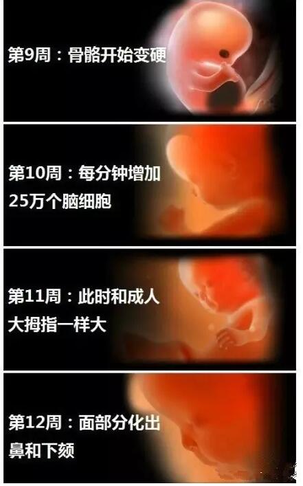 准妈妈怀孕期间,宝宝最怕的东西一定要知道!