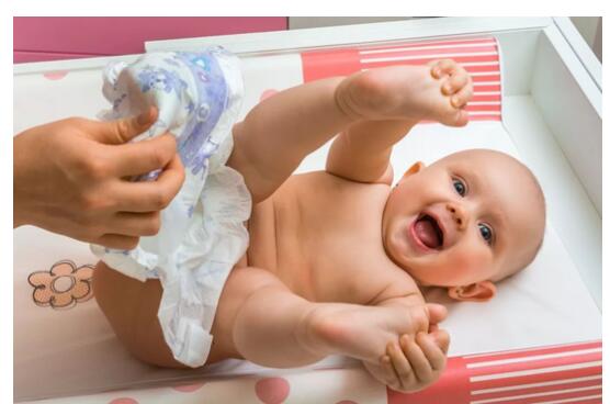 �������������������������or��ʪ