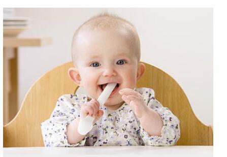 ������ʼ���������������ҳ���׼��ѵ���׽�������ʳ��