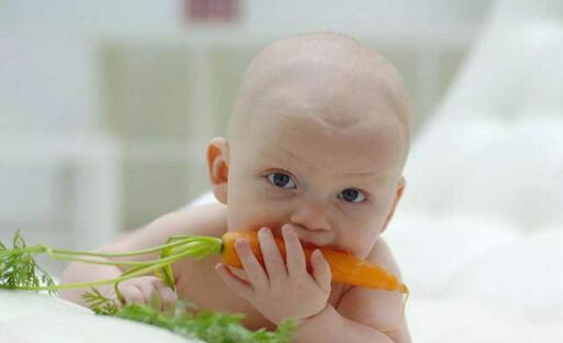 宝宝开始长牙牙龈发痒,家长可准备训练咀嚼能力的食物
