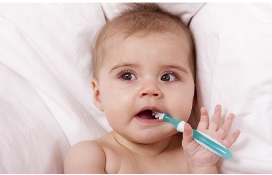 ������������ǻ����֪ʶ���ñ������ݸ�������