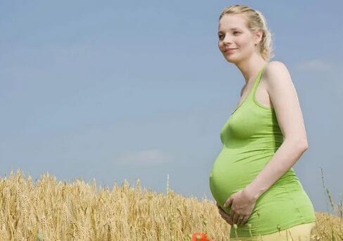 �������գ���������̥��Ҫע��˴�㣡