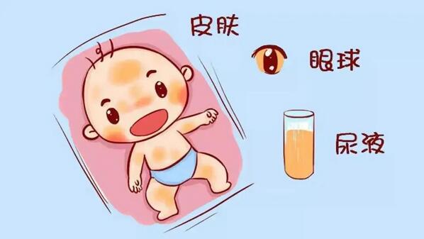 ʮ�������Ÿ��ƣ����ܸ��������ڵ�ϰ���й�ϵ��