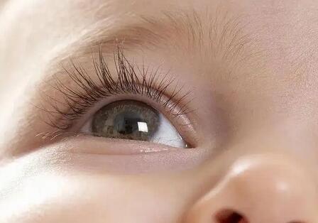 �����Ӿ������йؼ����𣿿�����3����ǰ��