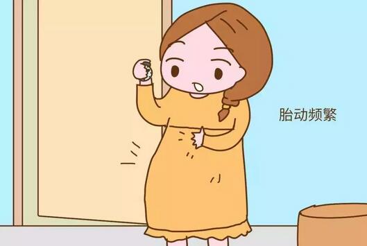 ���������ڣ�׼�������Ԥ��̥��Ƶ����