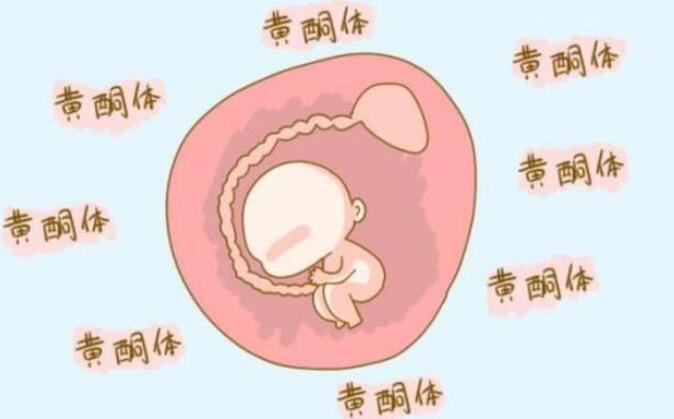 怀孕两个多月时,要注意哪些问题?准妈咪别大意!