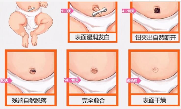 记录宝宝每周详细发育特点,新手爸妈都来看看!