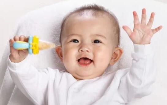 ���˸�С����ʳ�õ�����ʳ��ְ�������Ҫ����ע�⣡