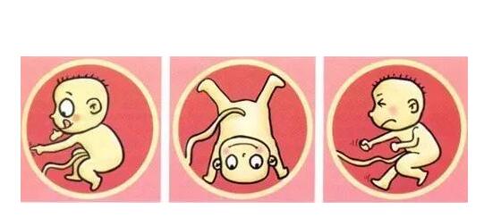 �����ڵ�̥���빬����ͬ��������Ҫѧ������