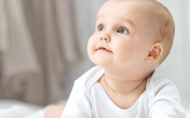 ����������ķ����ʺܸߣ��뱦�������趼�й�ϵ