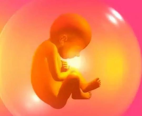 胎儿健康:生命最初的守护之旅